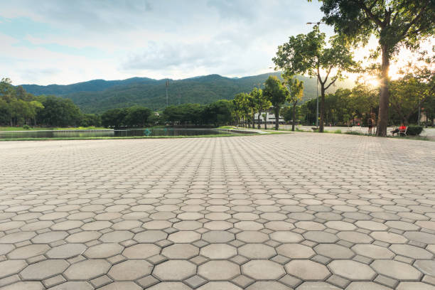 Professional Driveway Pavers in Cohasset, MN